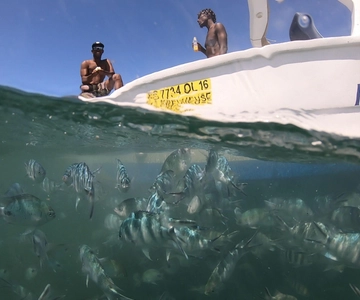 La Preneuse: Speedboat-tur för delfinskådning och snorkling