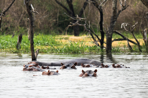 5-Day Masai Mara, Lake Nakuru & Naivasha honeymoon safari