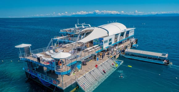 Cairns: Premium 5hr Outer Reef Pontoon Experience
