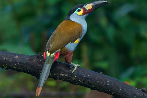 Quito: Mindo Cloud Forest 2-Day Tour with Meals & Hotel