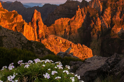PR1/Pico do Arieiro tour with Premium transfer - round trip PR1/Pico do Arieiro tour transfer - round trip-Meeting point