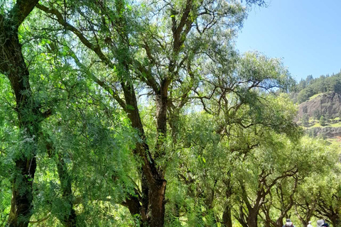 Santo Antão: 2-dagars guidad vandring