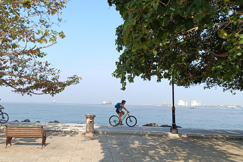 Tour in bici di 11 giorni alla scoperta delle spezie del Kerala