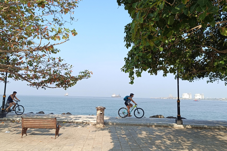 Tour in bici di 11 giorni alla scoperta delle spezie del Kerala