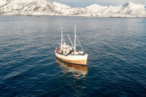 Svolvær: Fisketur på Lofoten