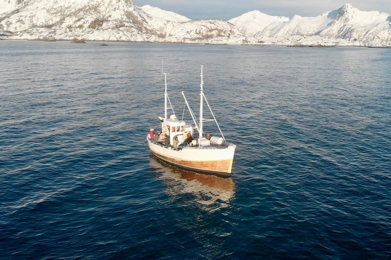 Svolvær: Angelausflug auf den Lofoten