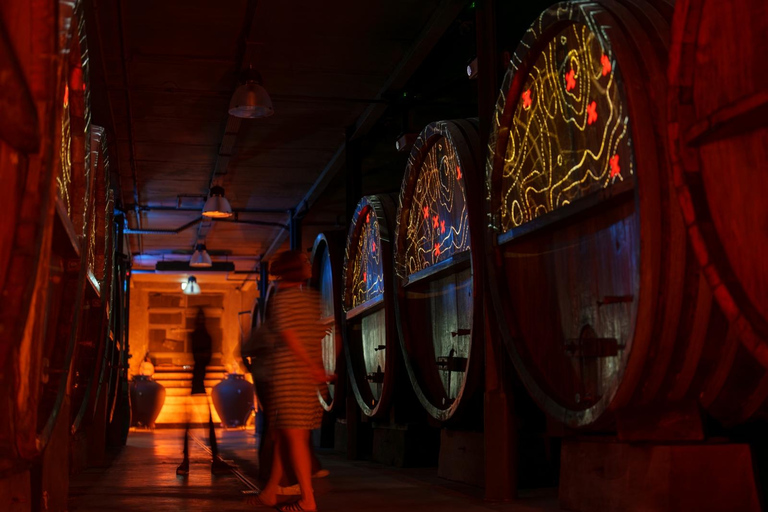 Visita guiada a la bodega, degustación y comida a bordoTour en francés