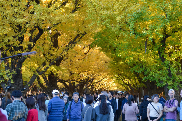 Tokyo: Golden Ginkgo Avenue Autumn Leaves Walk