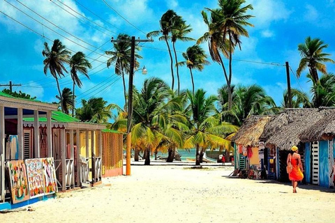 Saona Island Premium Escape: 4 Paradise Beaches and Natural Pool