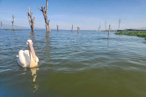 Nairobi: Lake Naivasha & Hell’s Gate National Park Day Trip