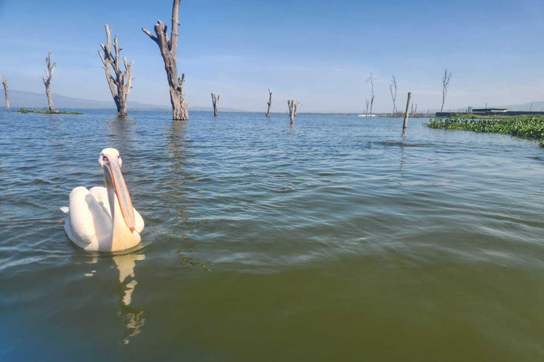 Nairobi: Lake Naivasha & Hell’s Gate National Park Day Trip