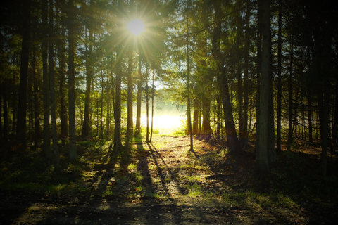 Kõrvemaa Nature Reserve Self-Guided Hike with Transfer
