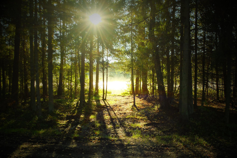 Kõrvemaa Nature Reserve Self-Guided Hike with Transfer