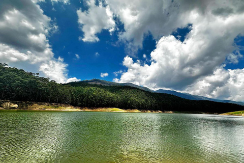 Cochin - Munnar Day Trip with Waterfalls and Tea Museum