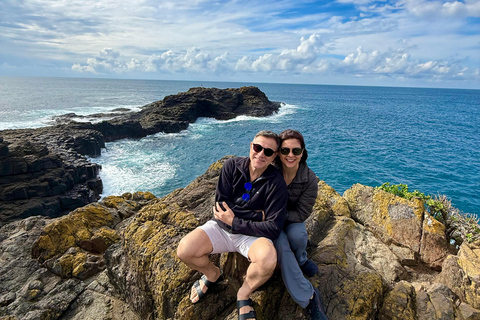 Sydney: Jervis Bay & South Coast Small Group Sydney: Jervis Bay & South Coast Small Group Wild Kangaroos