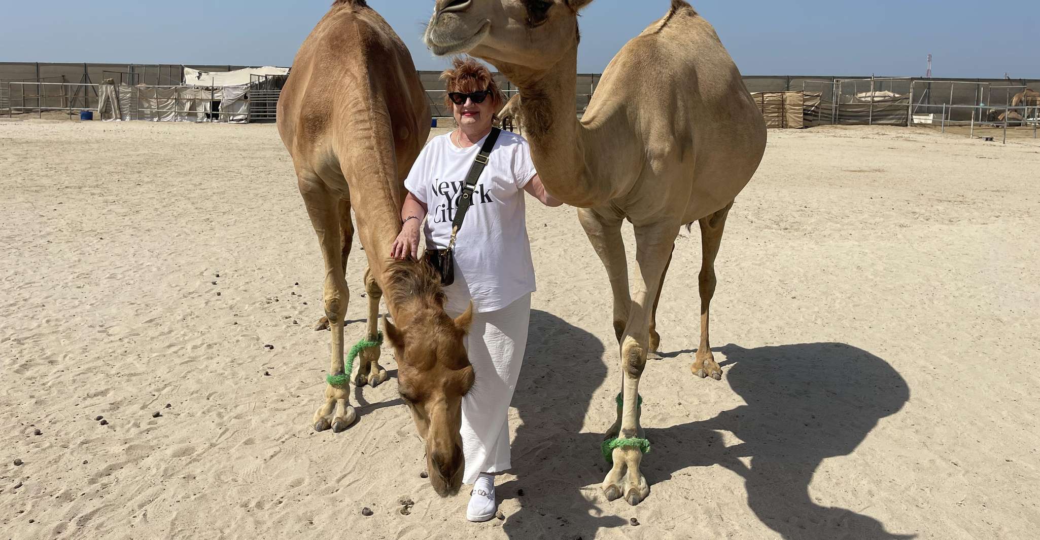 Manama: Tour from the South to the North of Bahrain photo 8