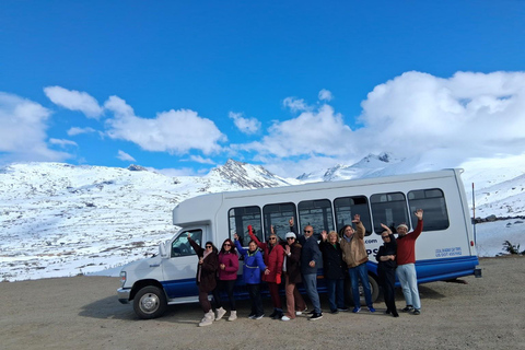 Skagway: Yukon Suspension Bridge & White Pass Scenic Tour