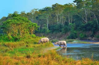 Ab Kathmandu/Pokhara: 3-tägige All-Inclusive-Chitwan-Safari