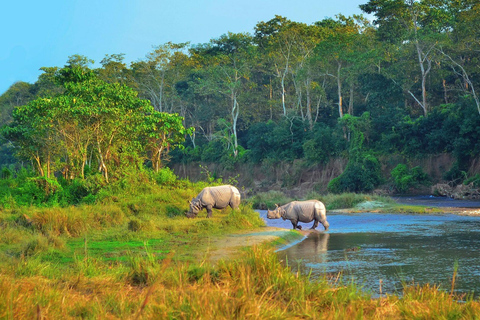 From Kathmandu/Pokhara: 3-Day All-Inclusive Chitwan Safari Chitwan: 3-Day Safari with Meals from Kathmandu/Pokhara