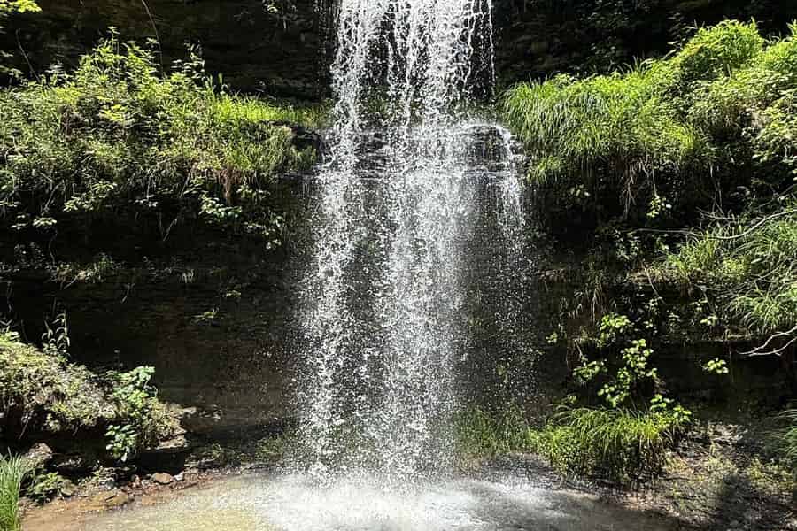 Combs: UTV-Tour mit Guide durch die Ozark Mountains. Foto: GetYourGuide