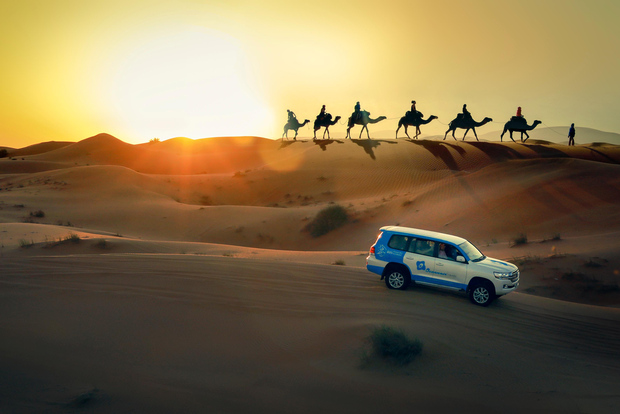 Doha: Sunset Desert Safari, ATV, Camel Ride and Sandboarding