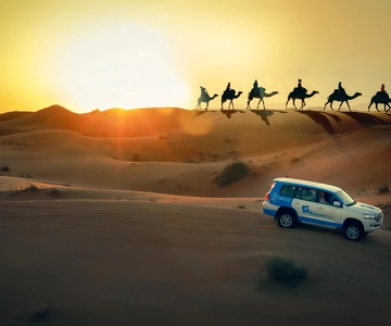 Doha: Sunset Desert Safari with Camel Ride and Sandboarding