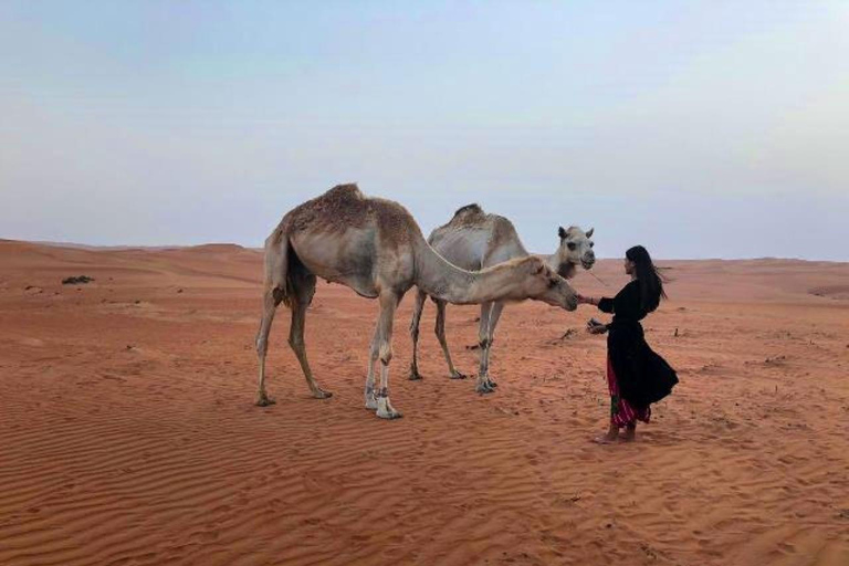 Desde Mascate: 2 días, 1 noche en Wahiba Sands