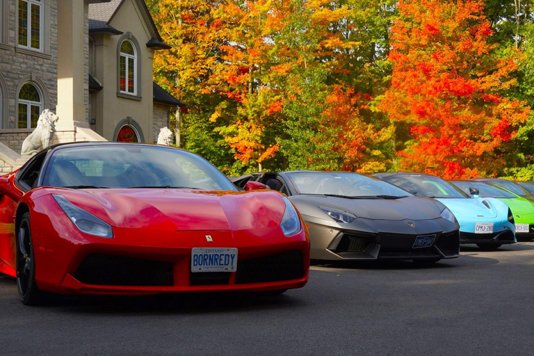 Toronto: Exotic or Supercar Test Drive on Hamilton Mountain 30-Minute Supercar Test Drive