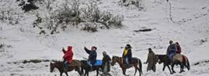 Excursion d'une journée à Gulmarg : balade à cheval à travers des paysages pittoresques