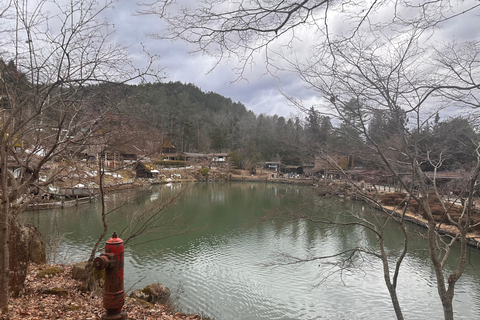 Depuis Kanazawa/Toyama : excursion d&#039;une journée à Shirakawago et Takayama