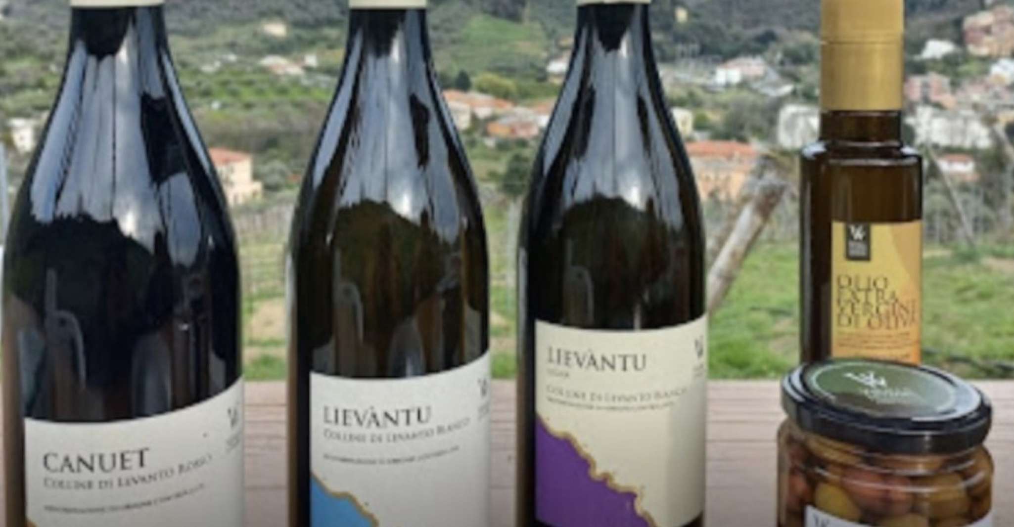 Lievàntu Wine Experience, Tour & tasting in Levanto Valley - Housity