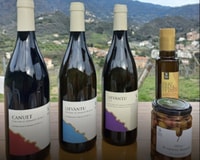 Lievàntu Wine Experience, Tour & tasting in Levanto Valley - Housity