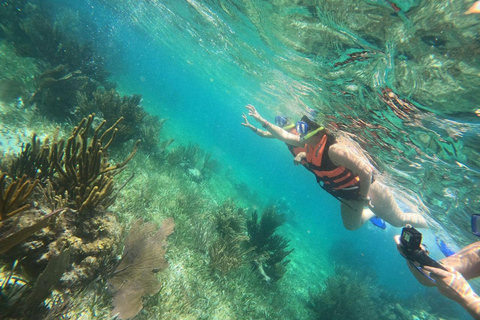 Puerto Morelos: Snorkel in Coral Reef with transportation Tour from Tulum