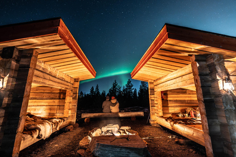 Rovaniemi: Northern Lights & Reindeer Experience