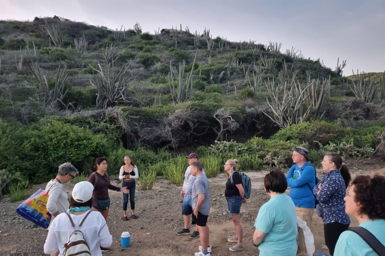 Aruba: Sunrise Natural Pool Hike & Swim Without the Crowds