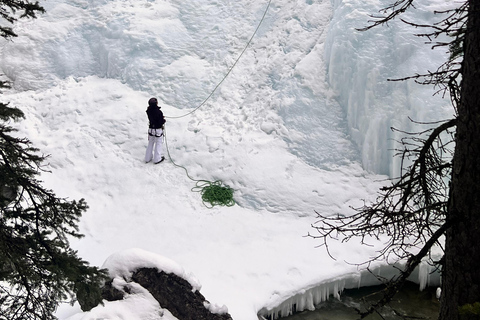 Calgary Banff: Columbia Icefield, Skywalk e tour dei laghiCalgary Banff: Columbia Icefield, Skywalk e tour di un giorno ai laghi