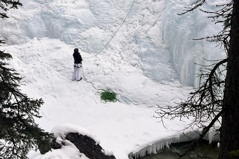 Calgary Banff: Columbia Icefield, Skywalk e tour dei laghiCalgary Banff: Columbia Icefield, Skywalk e tour di un giorno ai laghi