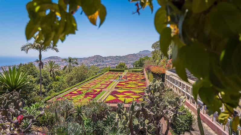 Jardim Botânico Tuk Tuk - Ilha da Madeira