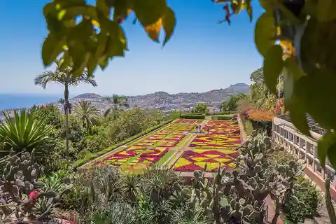 Jardin botanique Tuk Tuk - Île de Madère