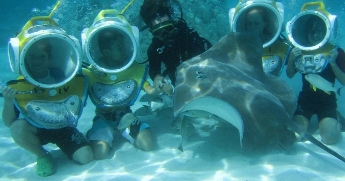 Moorea: Helmet Underwater Walking & Snorkeling Experience | GetYourGuide