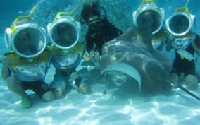 Moorea: Aquablue Helmet Underwater Walking Experience