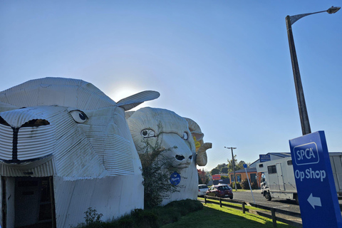 From Auckland: Lake Taupo and Rotorua Private Day Tour