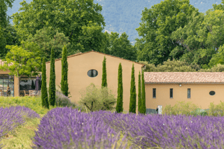 Luberon: Vineyard Tour and Wine Tasting