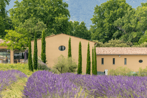 Luberon: Vineyard Tour and Wine Tasting