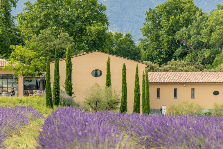 Luberon: Vineyard Tour and Wine Tasting