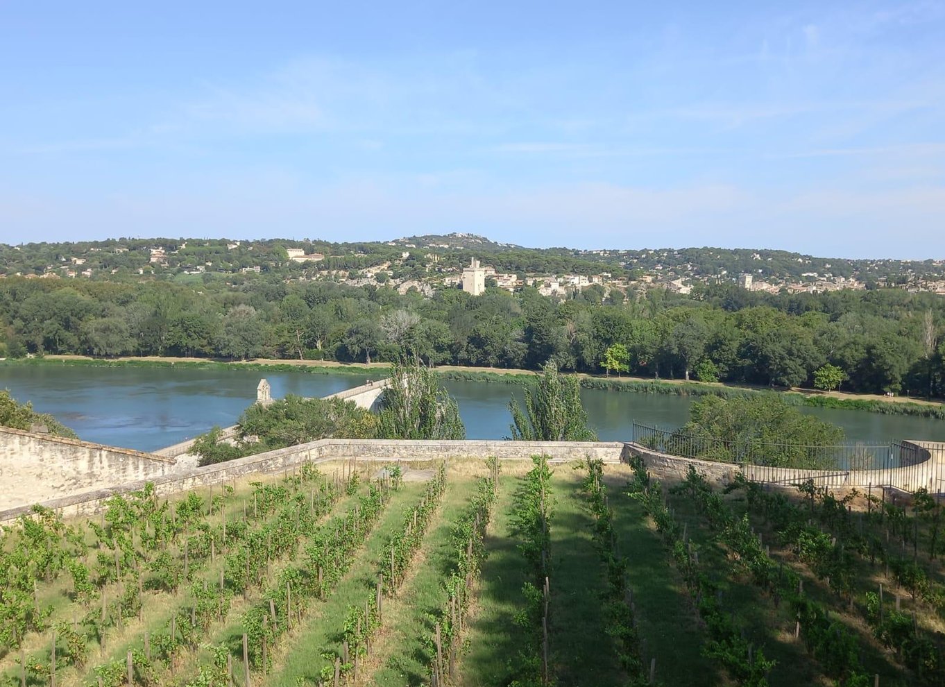 Avignon, byvandring om morgenen med adgang til pavepaladset