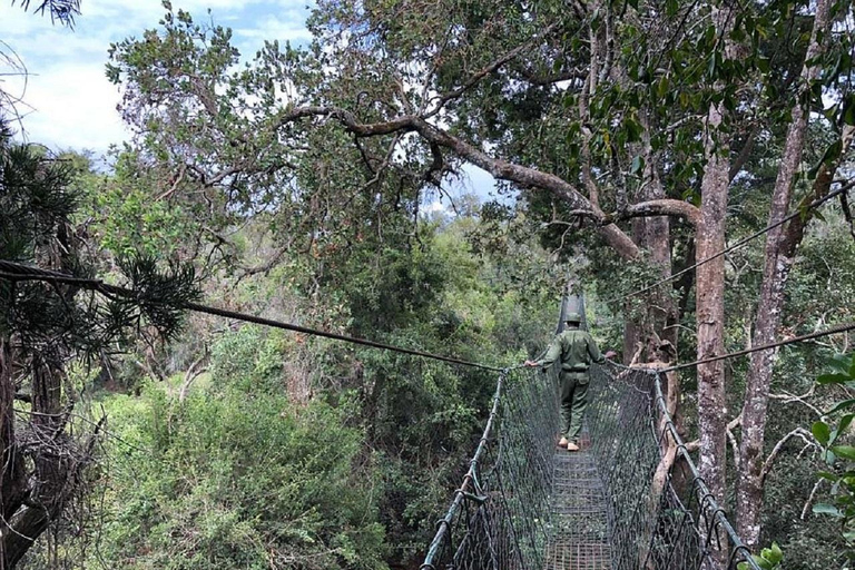 Nairobi: Caminhada pela Floresta Ngare Ndare e Canopy WalkNairobi: Caminhada pela Floresta Ngare Ndare e Passeio pela Copas das Árvores