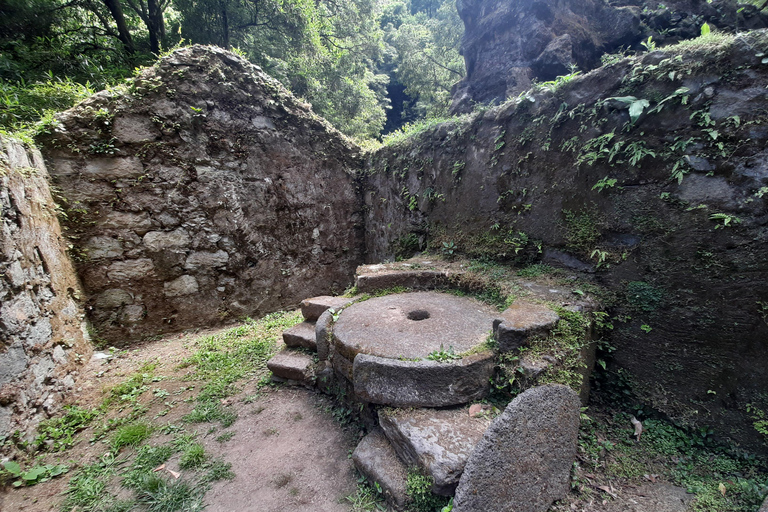São Miguel: Moinho do Felix-Wanderung mit Besuch der Teefabrik