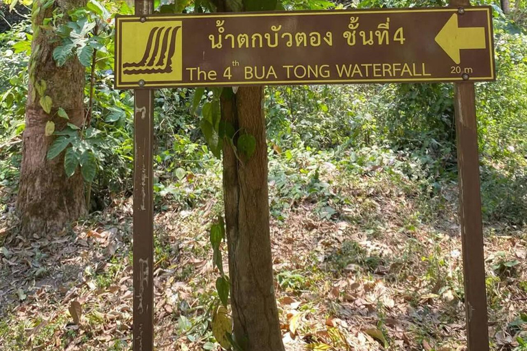 Chiang Mai: Afternoon Bua Tong Sticky Waterfall by Red Taxi