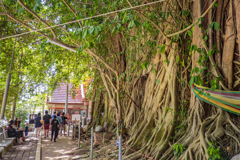 Desde Bangkok: Amphawa Floating Markets y Firefly Boat TourTour en grupo pequeño con punto de encuentro